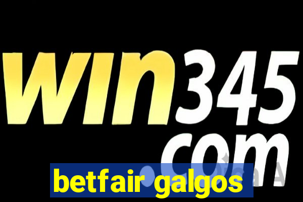 betfair galgos